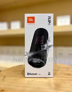 JBL Flip 6
