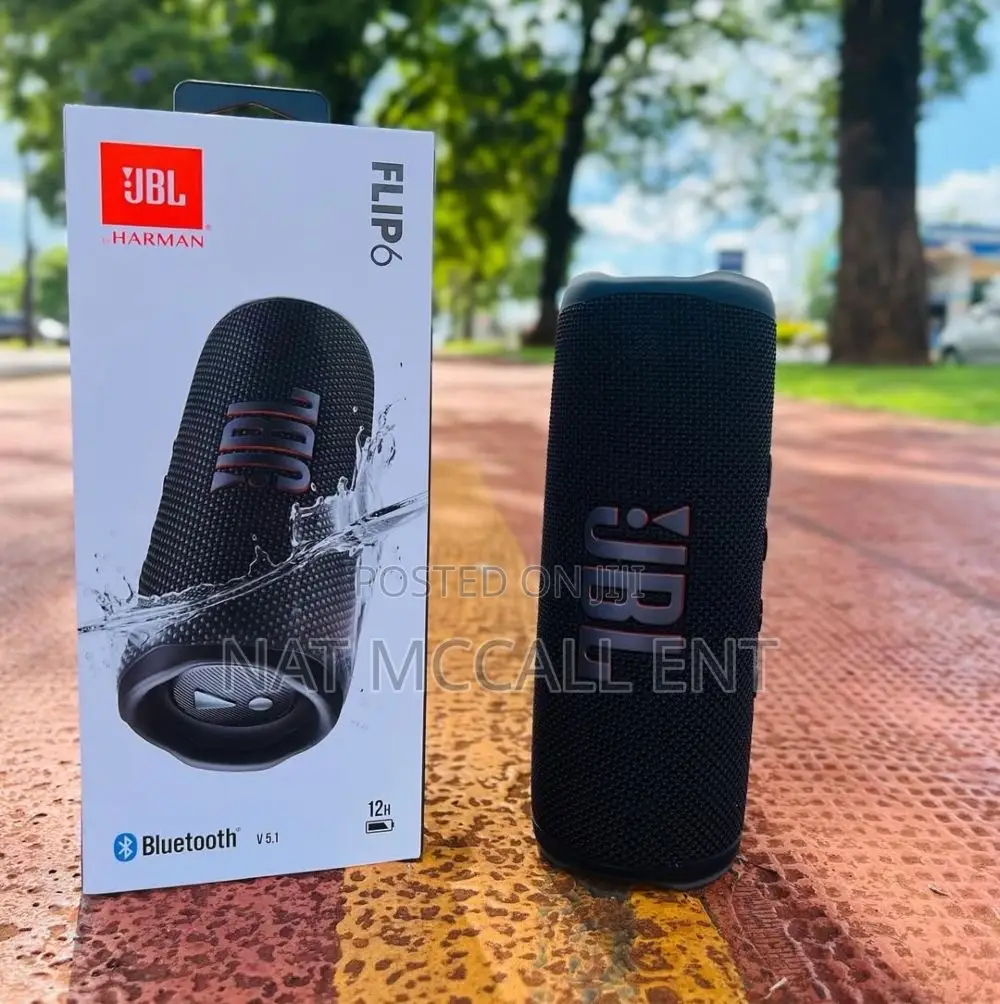 JBL Flip 6