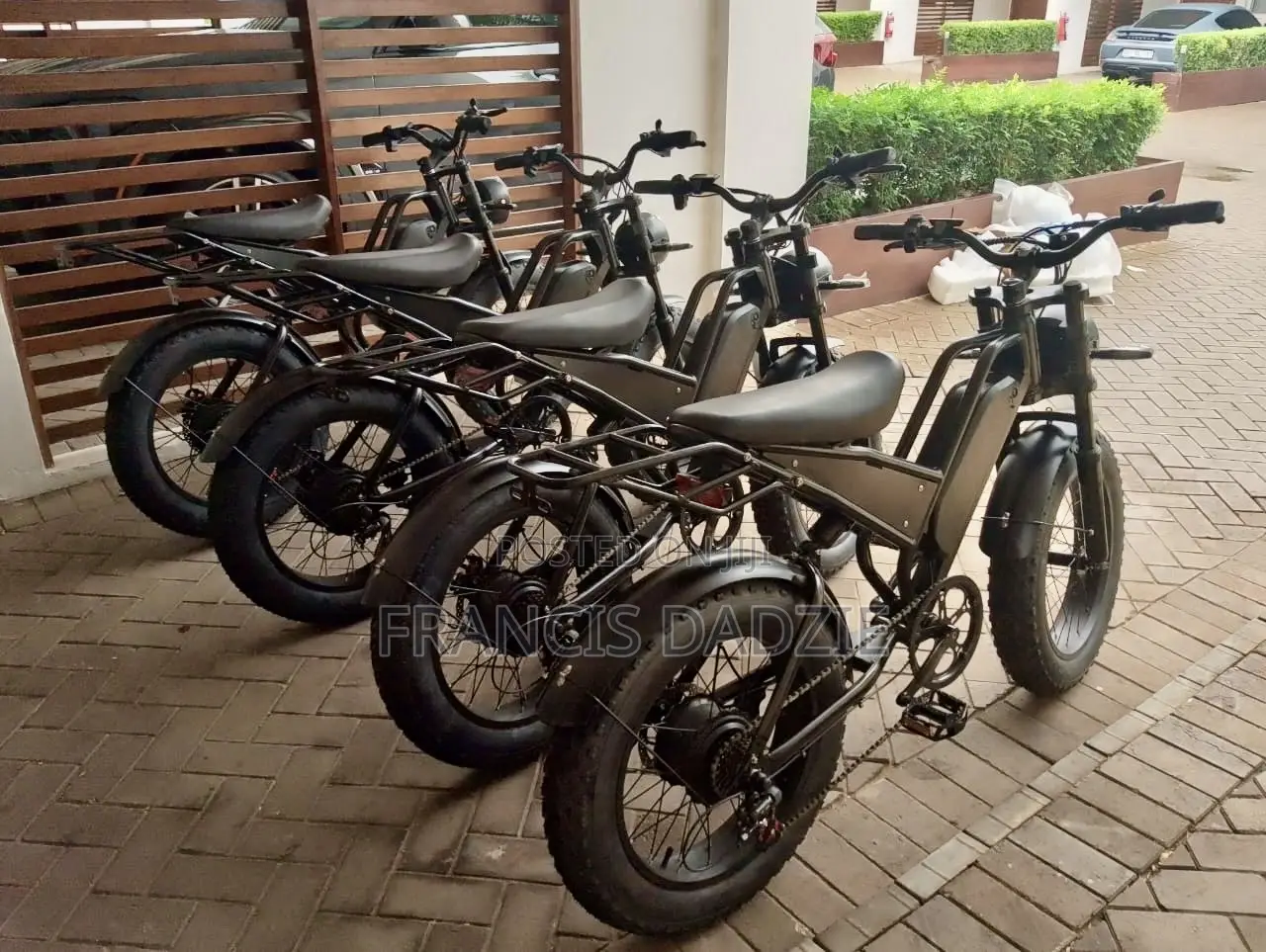 Brand New V20 Fat Tyre Electric Bike (48V Dual Suspension)
