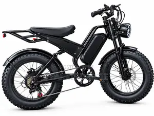 Brand New V20 Fat Tyre Electric Bike (48V Dual Suspension)