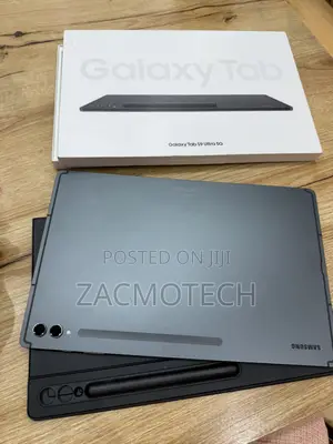 Samsung Galaxy Tab S9 Ultra 256 GB Gray