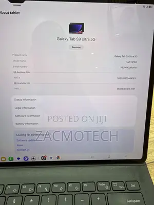 Samsung Galaxy Tab S9 Ultra 256 GB Gray