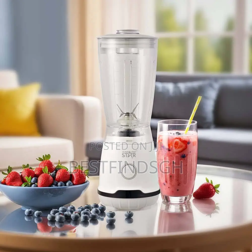 Winning Star Portable Blender (600 Ml)