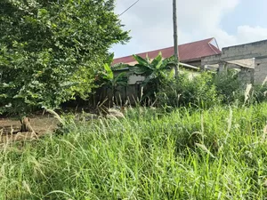 Plot for Sale at Kenyasi Brofoyedu