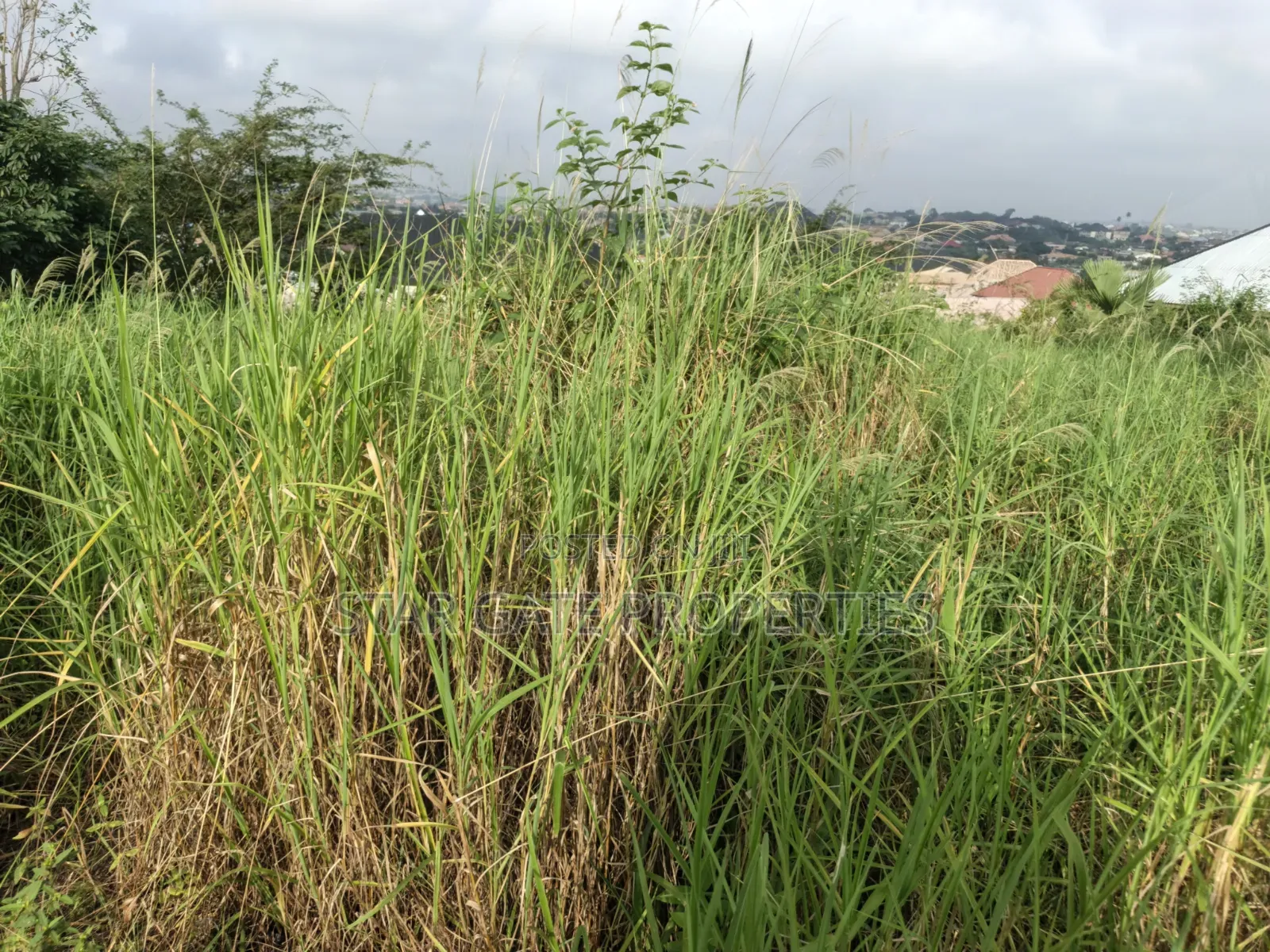 Plot for Sale at Kenyasi Brofoyedu