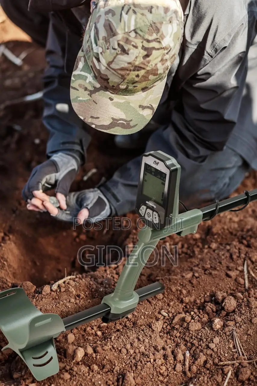 Minelab X-Terra Pro