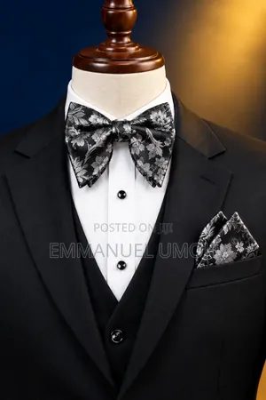 Elegant Silver and Black Bow Tie With Pocket Kerchief