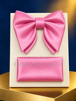 Classy Pink Bow Tie With Pocket Kerchief