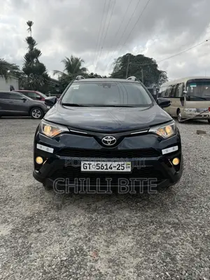 Toyota RAV4 XLE 4dr SUV (2.5L 4cyl 6A) 2018 Gray