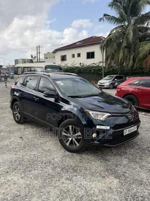 Toyota RAV4 XLE 4dr SUV (2.5L 4cyl 6A) 2018 Gray