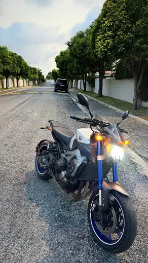Yamaha MT-09 2017 Gray