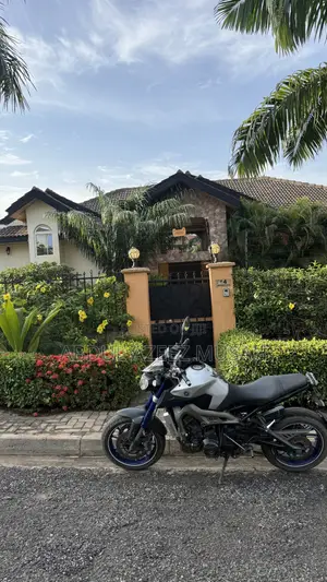 Yamaha MT-09 2017 Gray