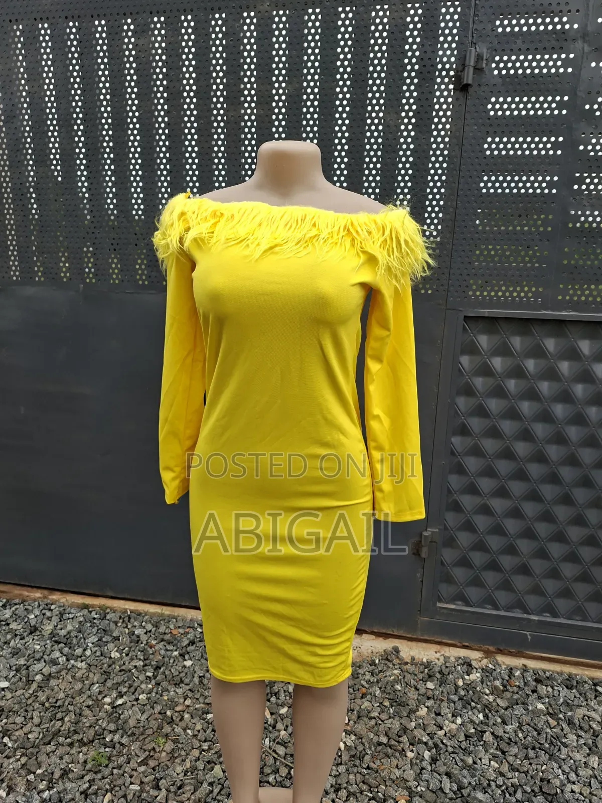 AA Collections