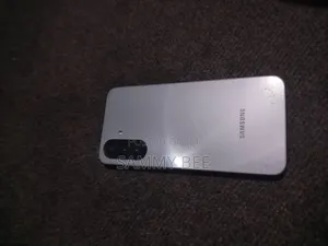 Samsung Galaxy A17 128 GB Silver