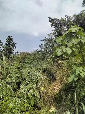 Acres of Farmland at Barekese for Sale