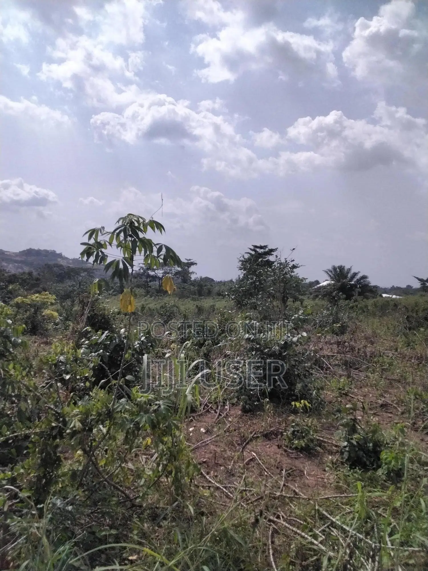 Acres of Farmland at Barekese for Sale