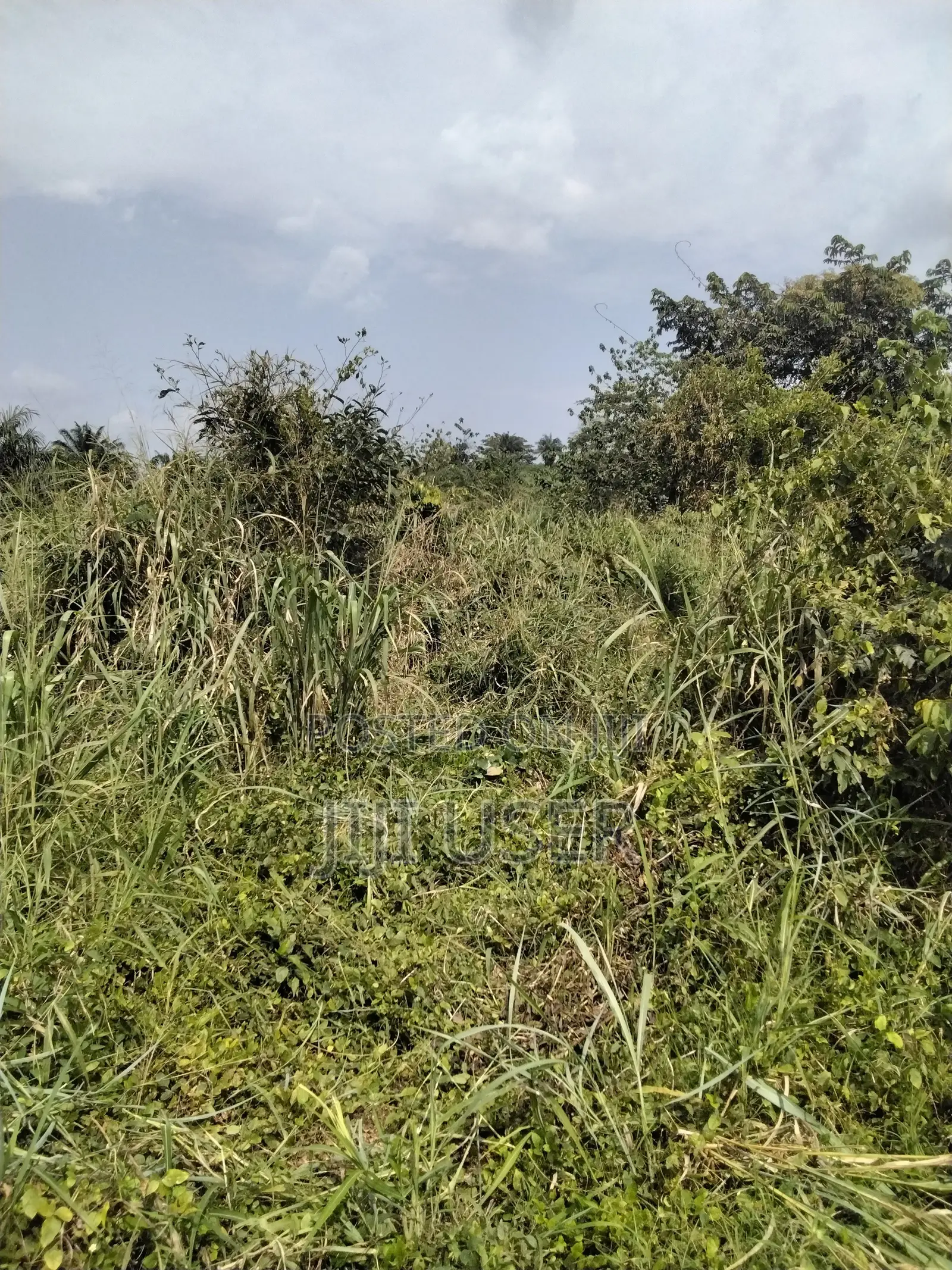 Acres of Farmland at Barekese for Sale