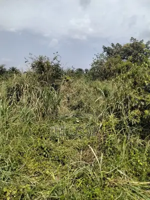 Acres of Farmland at Barekese for Sale