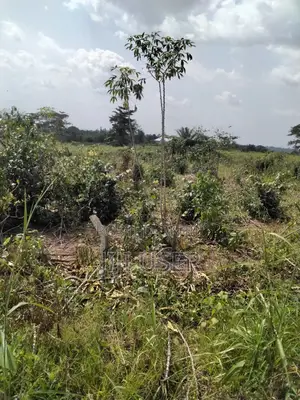 Acres of Farmland at Barekese for Sale