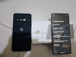 Google Pixel 7 Pro 256 GB Gray