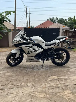 Kawasaki Ninja 300 2023