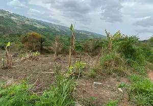 Land for Sale at Ashongman Boi
