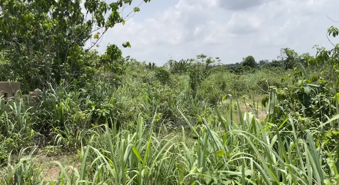 Land for Sale at Ashongman Boi
