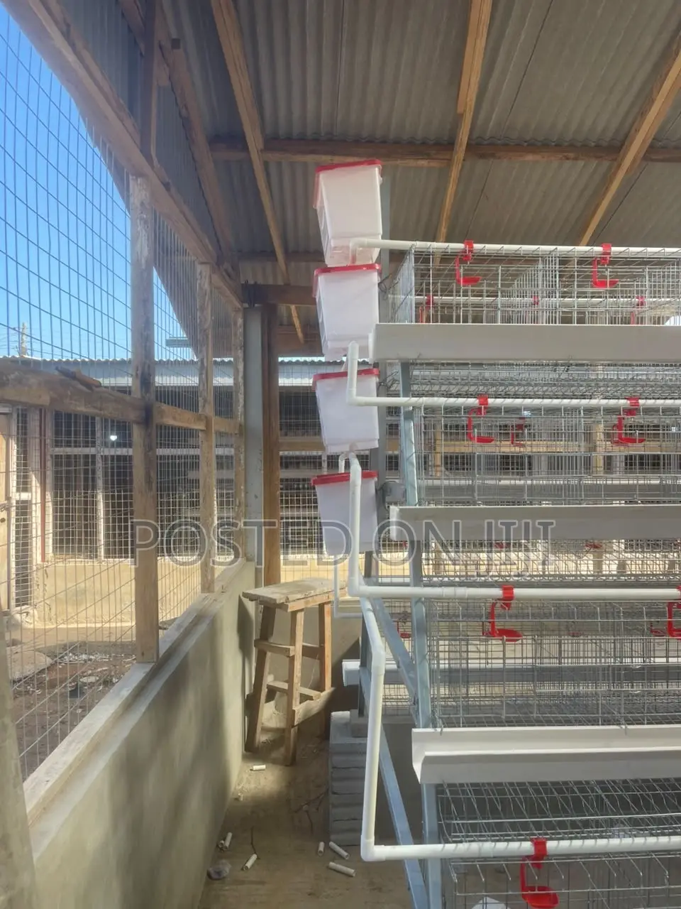 A Type Chicken Cage