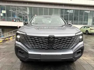 Changan Hunter Plus 2.0 Petrol 4x4 2025 Gray