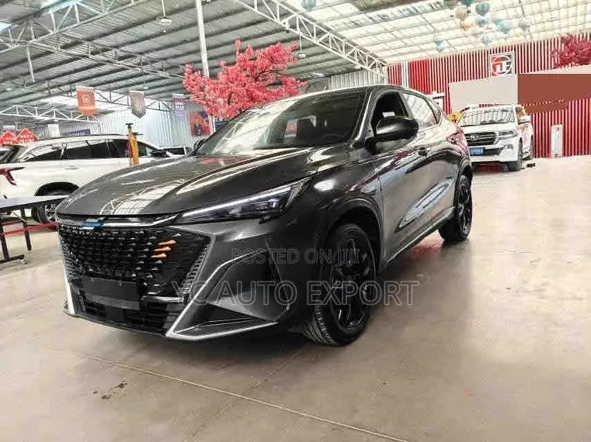 Changan Oshan X5 2024 Gray