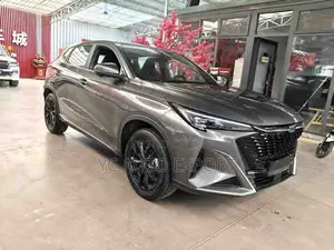 Changan Oshan X5 2024 Gray