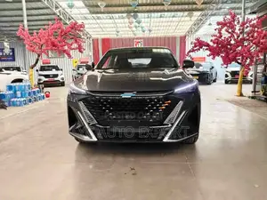Changan Oshan X5 2024 Gray