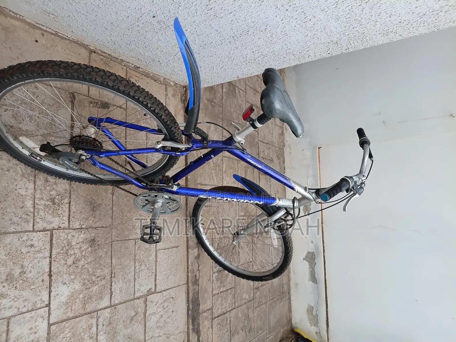 Mountain Bicycle