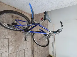 Mountain Bicycle