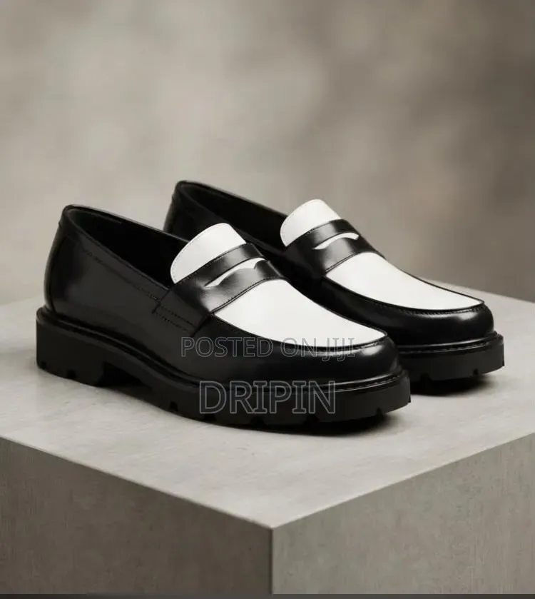Loafer Shoes for Men .