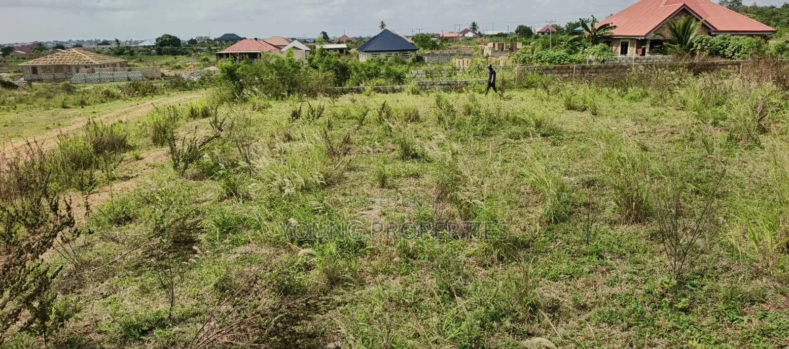 Four Plots of Land for Sale 80,000 Ghana Cedis