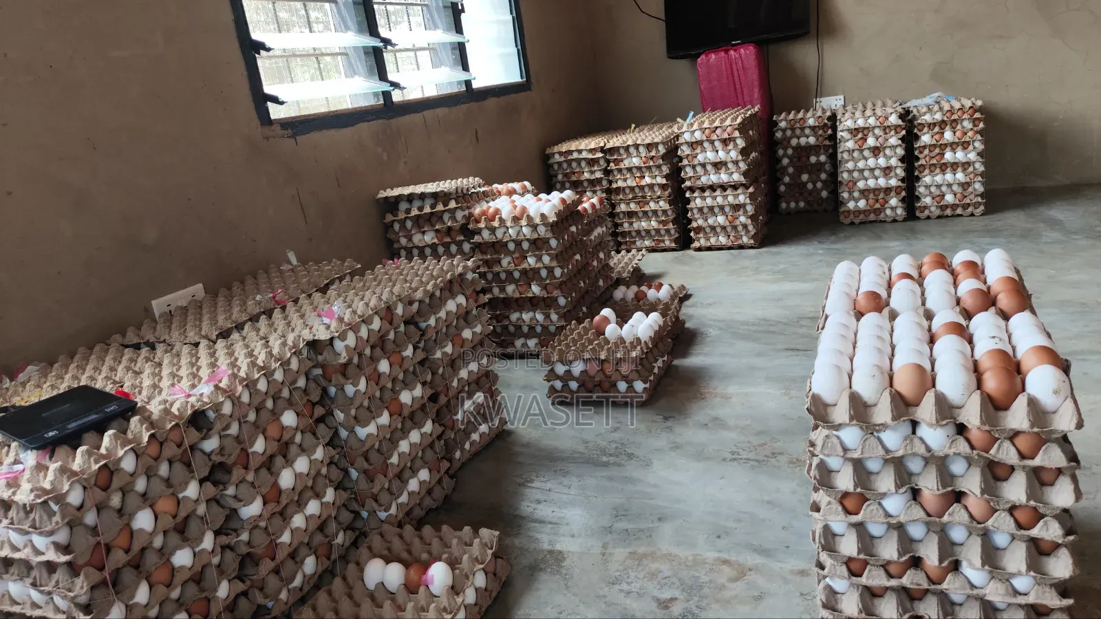 Farm Fresh Eggs