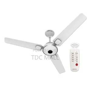 Executive Bajaj Ethora Ceiling Fan With Remote Control