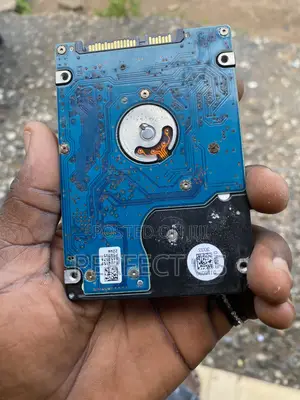 320GB Disk