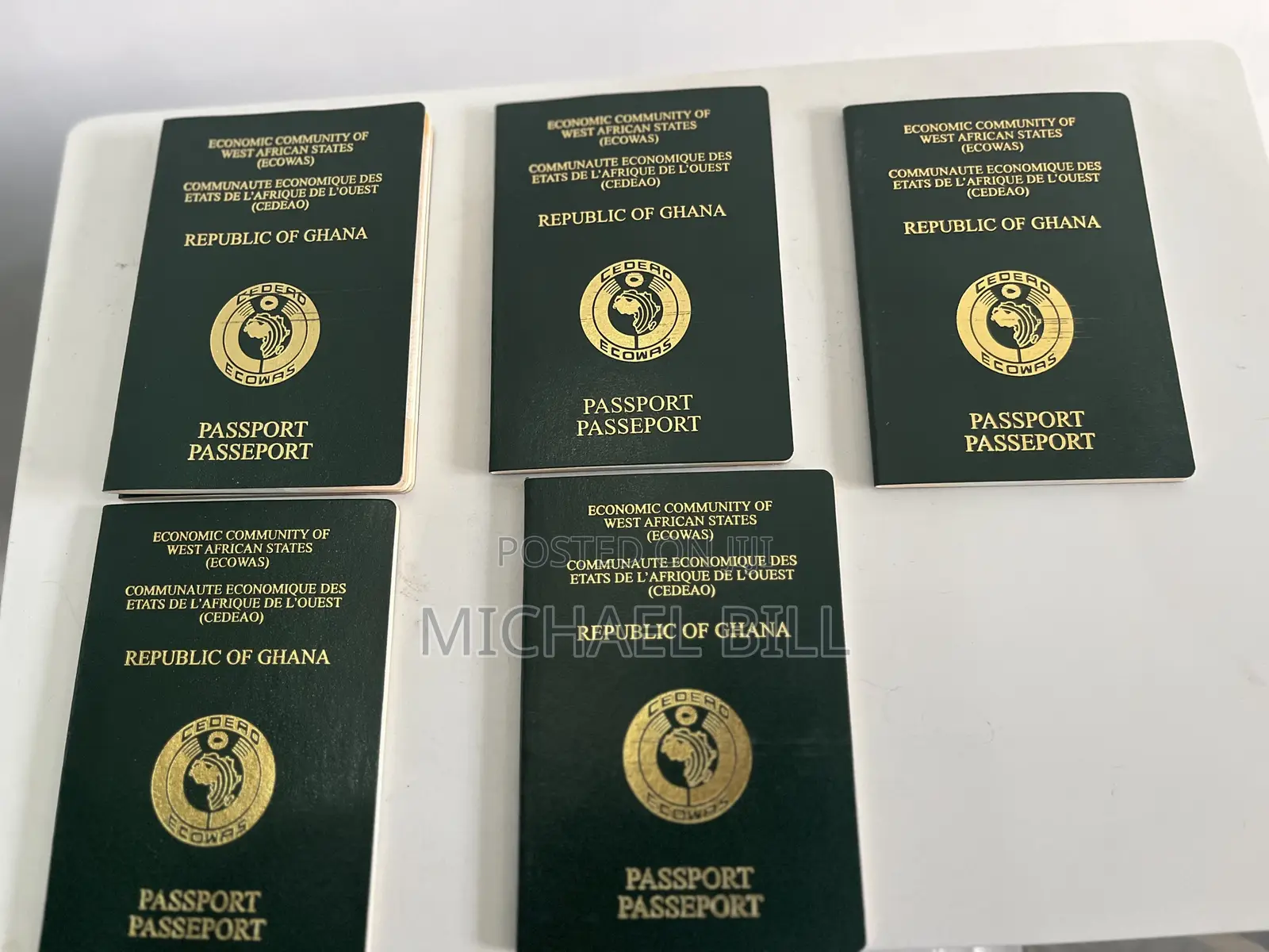Passport, Business Registration & Birthcert Services