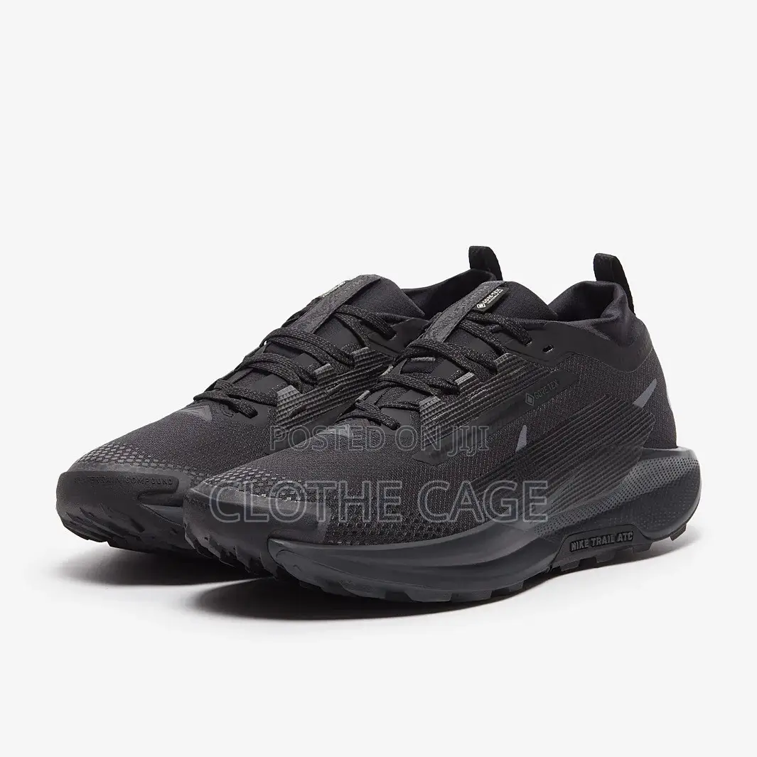 Nike Pegasus Trail 5 GORE-TEX