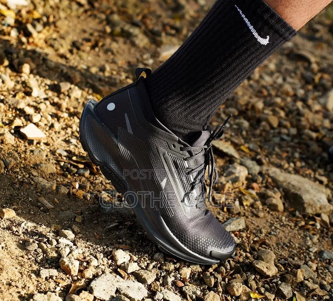 Nike Pegasus Trail 5 GORE-TEX