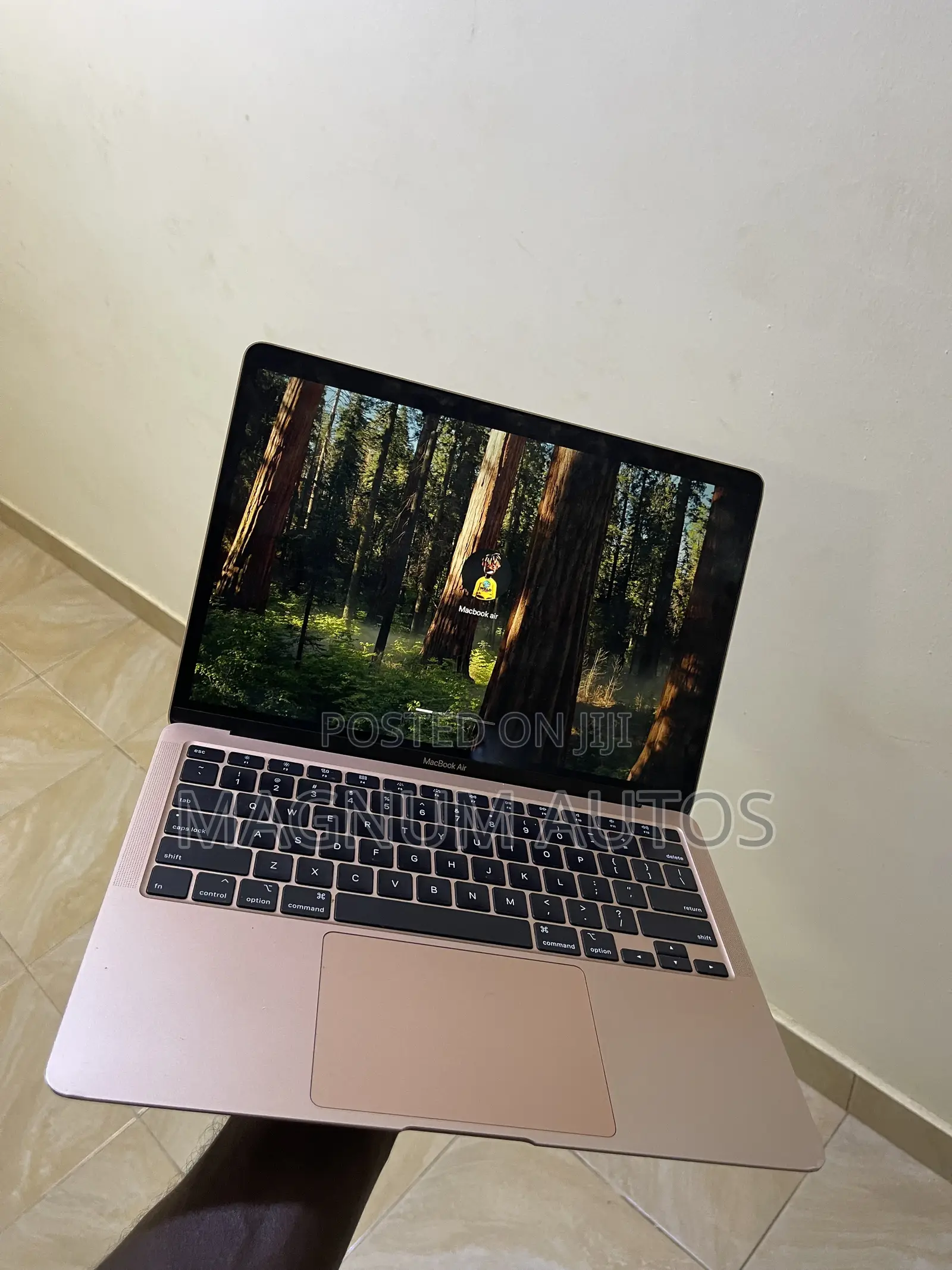 Laptop Apple MacBook Air 8GB Intel Core i3 SSD 256GB