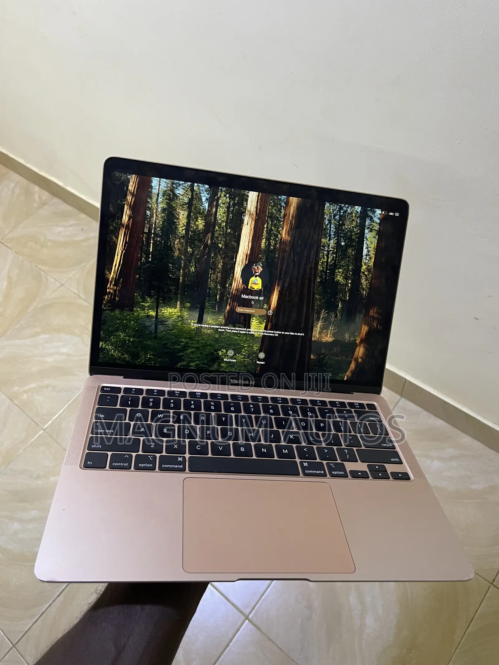 Laptop Apple MacBook Air 8GB Intel Core i3 SSD 256GB