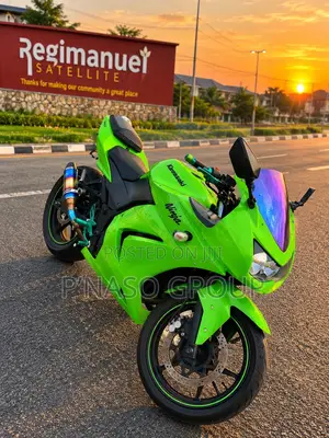 Kawasaki Ninja 300 2013 Green