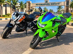 Kawasaki Ninja 300 2013 Green