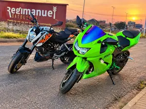 Kawasaki Ninja 300 2013 Green