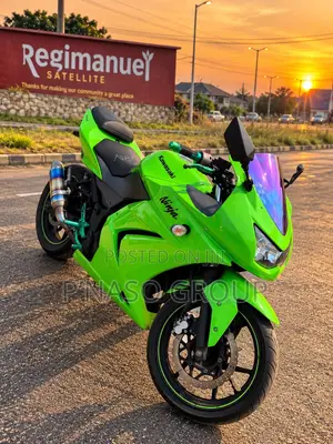 Kawasaki Ninja 300 2013 Green