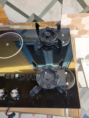 Electric Gas Stove