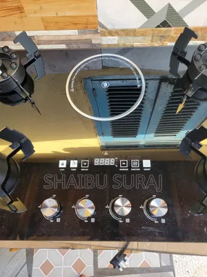 Electric Gas Stove